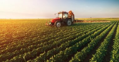 Nafta shtrenjton prodhimet bujqësore/ Fermerët: Kemi vështirësi, janë rritur kostot