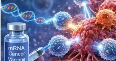 Shkencëtarët zbulojnë vaksinën që “zgjon” sistemin imunitar kundër tumoreve