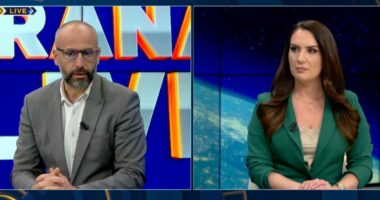 Gjermania i “heq” flamurin PD/ Faik Basha: Një parti politike kurrsesi s’mund të justifikojë dhunën