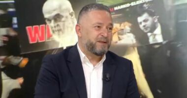 Gjermania i “heq” flamurin PD/ Kthupi: Berishës i intereson një bazë e ngurtë dhe e gatshme për protesta të dhunshme