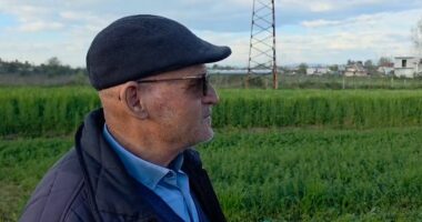 Krimi në Roskovec/ Banorët: Jemi të çuditur, s’ka ndodhur më parë ngjarje e tillë në fshat