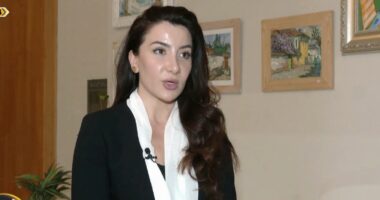 Bashkëpunimi ekonomik Kosovë-Shqipëri/ Drejtuesja e AIDA: Shërbimet dhe tregtia, sektorët kryesorë për investimet