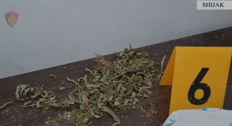 pershtaten-ambientin-per-kultivim-kanabisi-policia-u-prish-planet-kater-te-arrestuar-ne-shijak
