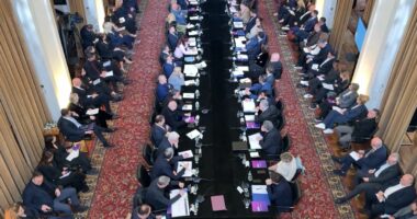 PS, 4 opsione territoriale/ Reforma, mazhoranca propozon variantet për ristrukturimin e bashkive