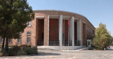 Rekord blerjesh valute/ BSH: Gjatë vitit të kaluar u tërhoqën nga tregu mbi 1 miliard euro