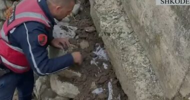 Kontrolle në Shkodër/ Goditet grupi që shpërndante drogë, gjenden dy armë zjarri