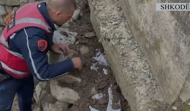 Kontrolle në Shkodër/ Goditet grupi që shpërndante drogë, gjenden dy armë zjarri