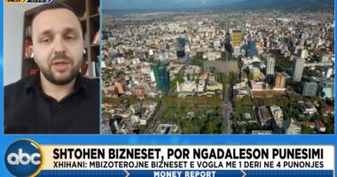 Shtohen bizneset, por ngadalëson punësimi/ Eksperti shpjegon shifrat në “Money Report”: Shumica e sipërmarrjeve operojnë në…