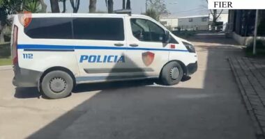 Posedonin armë zjarri pa leje/ Fier, arrestohet 52-vjeçari, në kërkim 34-vjeçari