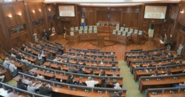 LVV propozon Fatmire Mullhaxha-Kollçakun si kandidate të dytë për presidente të Kosovës