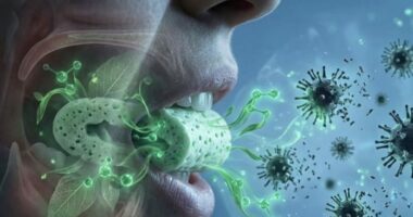 Shkencëtarët krijojnë çamçakëzin bimor që neutralizon viruset në gojë