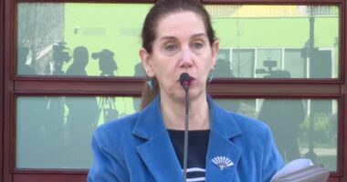 “Integrimi i inteligjencës në shkolla”/ Kumbaro: Hapim liceun francez në Korçë, me diplomë shqiptare dhe franceze