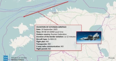 Një aeroplan luftarak rus hyn në hapësirën ajrore të NATO-s