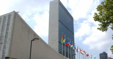 Rezolutë historike kundër skllavërisë/ Votohet në OKB: Krim kundër njerëzimit, por edhe kompensime