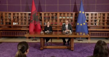 Projekti i Porto Romanos/ Rama: Kompania është tërhequr. Procesi nën presion, por jo nga SHBA-BE