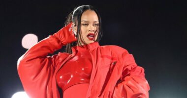 Të shtëna me armë në shtëpinë e Rihannës, arrestohet një grua