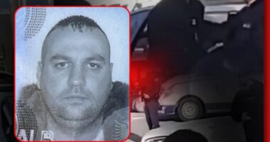 Vëllai iu vra në atentat/ Arrestohet Shemsi Shaljani, dhunoi kunatën për çështje pronësie