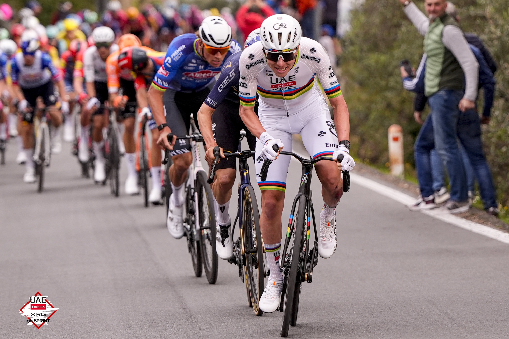 “Kanibali” pogaçar nuk ndalet/ Ylli më i madh i çiklizmit fiton edhe në klasiken Milano-Sanremo