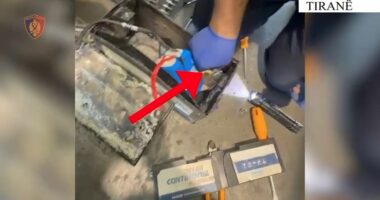 Po transportonte mallra të kontrabanduara/ Arrestohet 26-vjeçari në Tiranë, sekuestrohen rreth 524 gramë flori