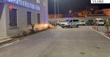Arsenal armësh dhe lëndë plasëse në banesë/ Vlorë, arrestohet 35-vjeçari