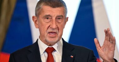 Parlamenti çek voton kundër kërkesës së gjykatës për të çuar në gjyq kryeministrin Babiš, për mashtrim me subvencione të BE-së