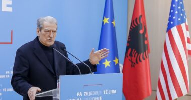 Rithemelimi vdiq, por Berisha vazhdon/ “Rithemeluesi”, kandidat përjetë për kreun e PD