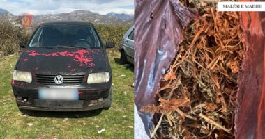 Vodhën dy automjete në Malësi të Madhe, në pranga 3 persona