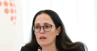 Rritja e çmimit të naftës/ Ibrahimaj: Po monitorojmë situatën nuk jemi në kushtet për të ngritur Bordin