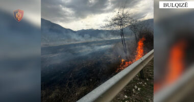 Dy të proceduar në Bulqizë, ndezën zjarr dhe u dogjën rreth 7 dynym sipërfaqe toke
