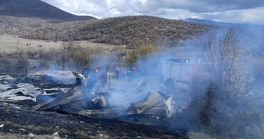 Përfshihet nga flakët një stallë bagëtish në Kolonjë, zjarrfikësit ndërhyjnë për të neutralizuar zjarrin