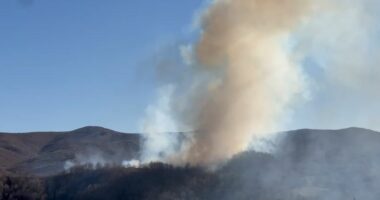 Përfshihet nga flakët një kodër në fshatin Leshnicë/ Korçë, në terren forcat zjarrfikëse (Video)