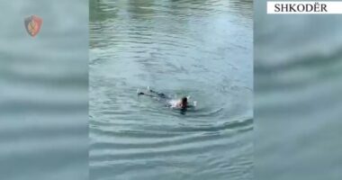 U hodh në lumin Buna për t’u vetëmbytur/ Shkodër, policia shpëton 56-vjeçaren