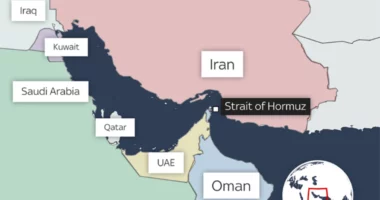 Anija e mallrave goditet nga një predhë në Ngushticën e Hormuzit