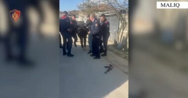 Qëllonte me kallashnikov në ajër/ Maliq, pranga 40 vjeçarit, i dënuar për vjedhje dhe narkotikë