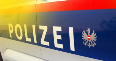 Sulm me thikë në Austri, një viktimë dhe një i plagosur