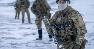 Danimarka u përgatit me aleatët e NATO-s për një sulm amerikan të Groenlandës