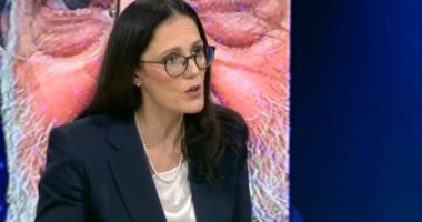 Konfliktet globale dhe ndikimi në ekonomi/ Ministria Ibrahimaj: Rritja e çmimit të karburanteve ndikon në inputet bujqësore