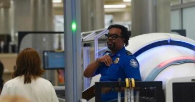 ICE në aeroportet e SHBA/ Radhë të gjata, agjentët e imigracionit ndihmë për sigurinë e pasagjerëve