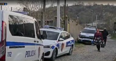 ABC News në fshatin Kurtaj/ 4 mijë rrënjë kanabis u gjetën në banesën e drejtorit të burgut në Rrogozhinë