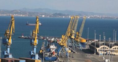 Eksportet i rikthehen rritjes/ INSTAT: Në shkurt arritën në rreth 31 miliardë lekë