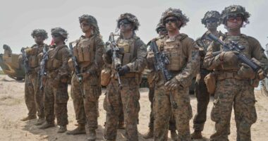 “Wall Street Journal”: Pentagoni përforcon forcat amerikane në Lindjen e Mesme me marinsat