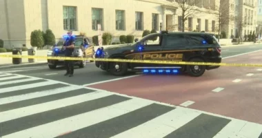 VIDEO/ Furgoni përplaset me barrikadën e Shtëpisë së Bardhë, arrestohet shoferi