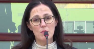 “Ligj për lirinë e shërbimeve”/ Ibrahimaj: Shërben për integrimin e BE. Karburantet? Ende s’ka nevojë për Bord Transparence