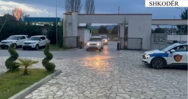 Ndihmoi të riun të arratisej/ Shkodër, arrestohet 21-vjeçari
