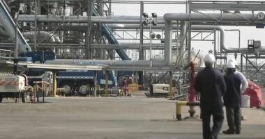 Lufta në Lindjen e Mesme, Gjermania “prek” rezervat kombëtare të naftës