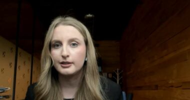 Tragjedia në Austri/ Gazetarja: Viktimat do të prehen në Kosovë, dy prej tyre jetonin prej 15 vitesh në Vjenë