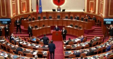 Tetë mars i vështirë për PD/ Gënjen Albana, dënohet Gazi, ikën Jola Hysaj