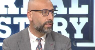 Shkarkimi i Prodës/ Eksperti Basha: Çedoi në organizimin e policisë në protestën e PD