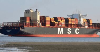 Bllokimi i Hormuzit rrezikon furnizimet globale, BBC: Rriten çmimet e ushqimeve, ilaçeve dhe telefonave celularë