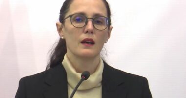 “Stabilitet në tregun e punës”/ Ibrahimaj: Papunësia 8.3 përqind, rreth 4 mijë biznese të reja në dy muajt e fundit